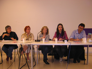 H. González, M.A. Meabe, M. Rodes, Y. Castaño, F. Ardolino